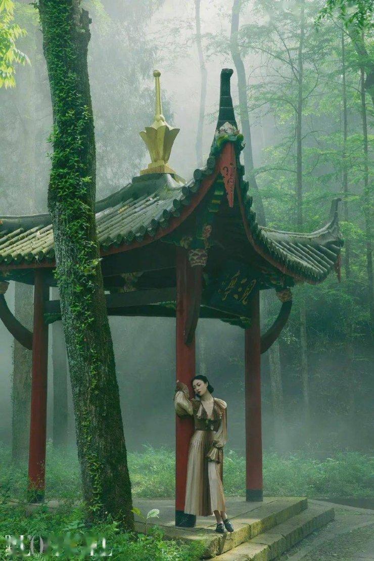 逃离椰子岛
