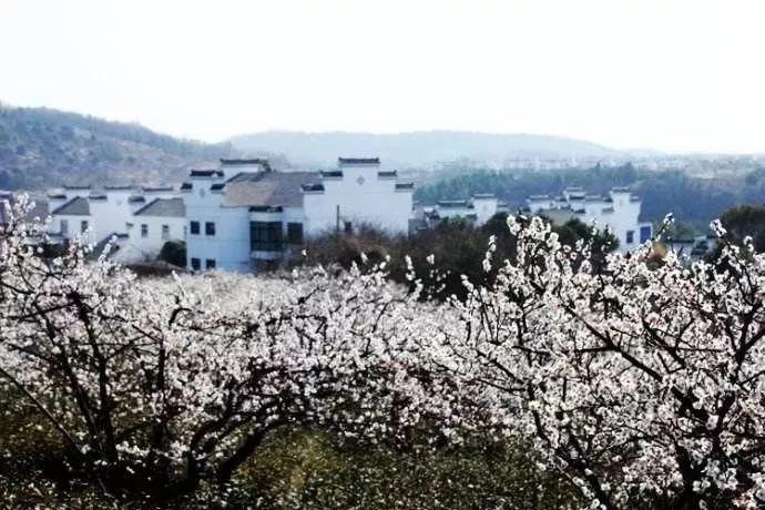 华莱士“快乐星期五”再翻红 独具生命力的IP是这样“炼”成的