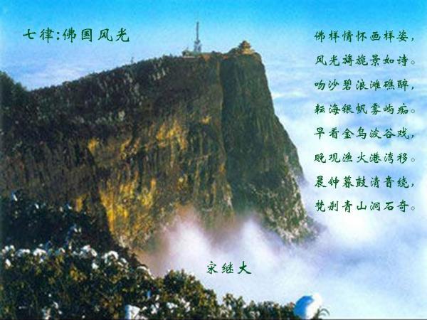 迷人的妖精